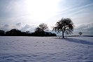 Winterlicht